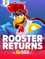 Br888.Com - Br888 Casino - Plataforma Jogo Cassino